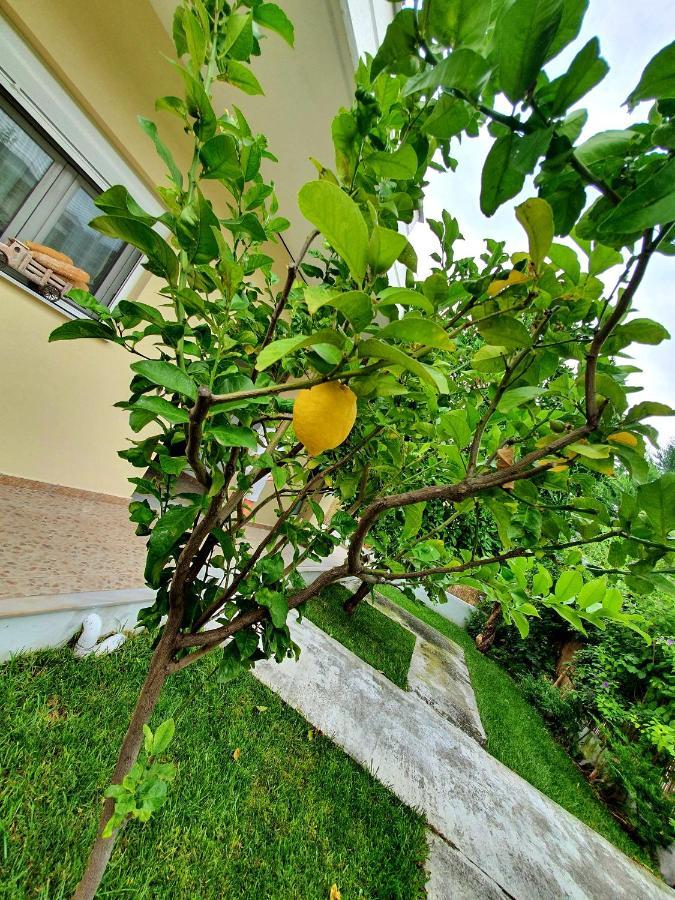 Apartamenty Rodzinne Kamena Vourla Dış mekan fotoğraf