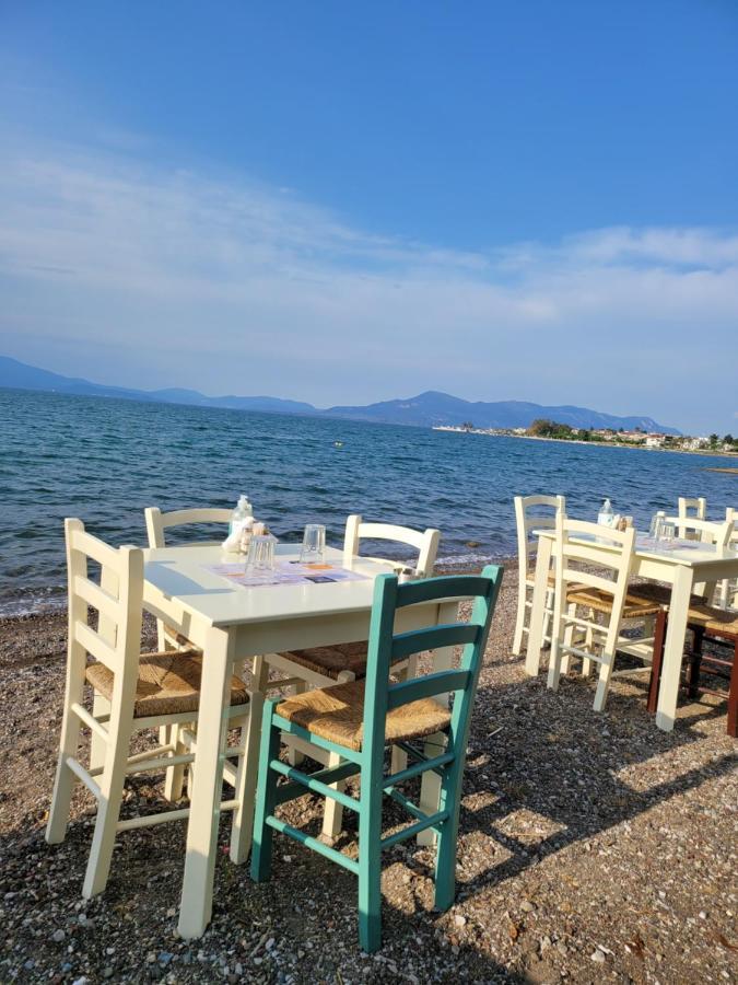 Apartamenty Rodzinne Kamena Vourla Dış mekan fotoğraf