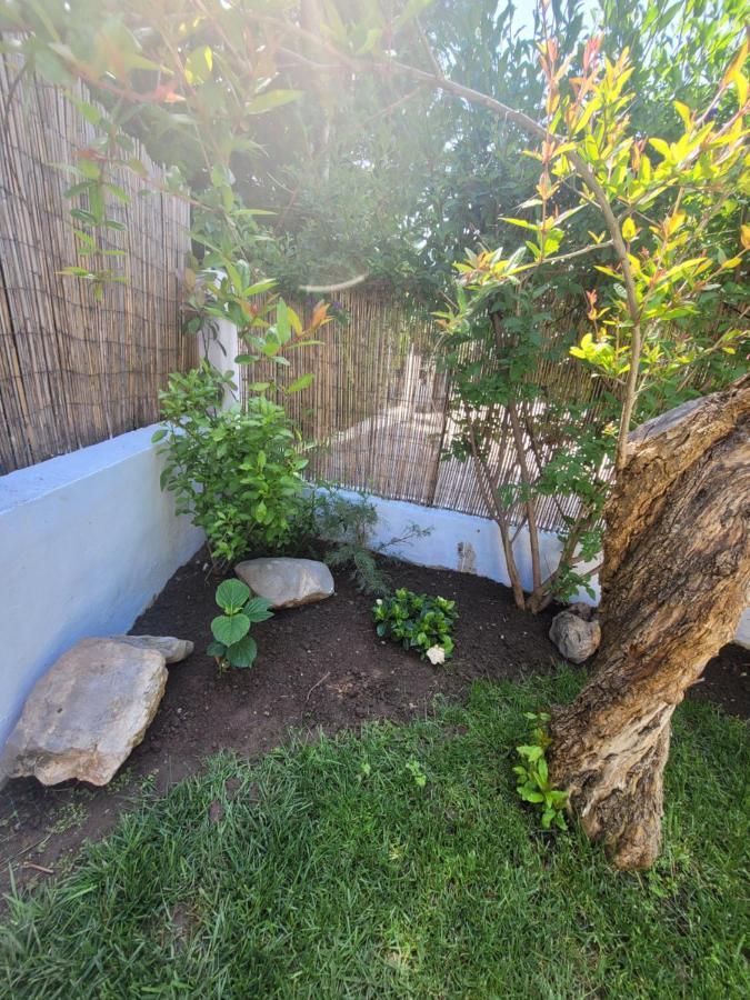 Apartamenty Rodzinne Kamena Vourla Dış mekan fotoğraf